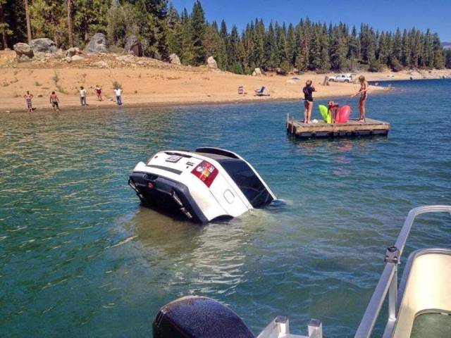 Daily Picdump