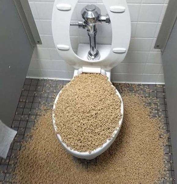 Morning Picdump