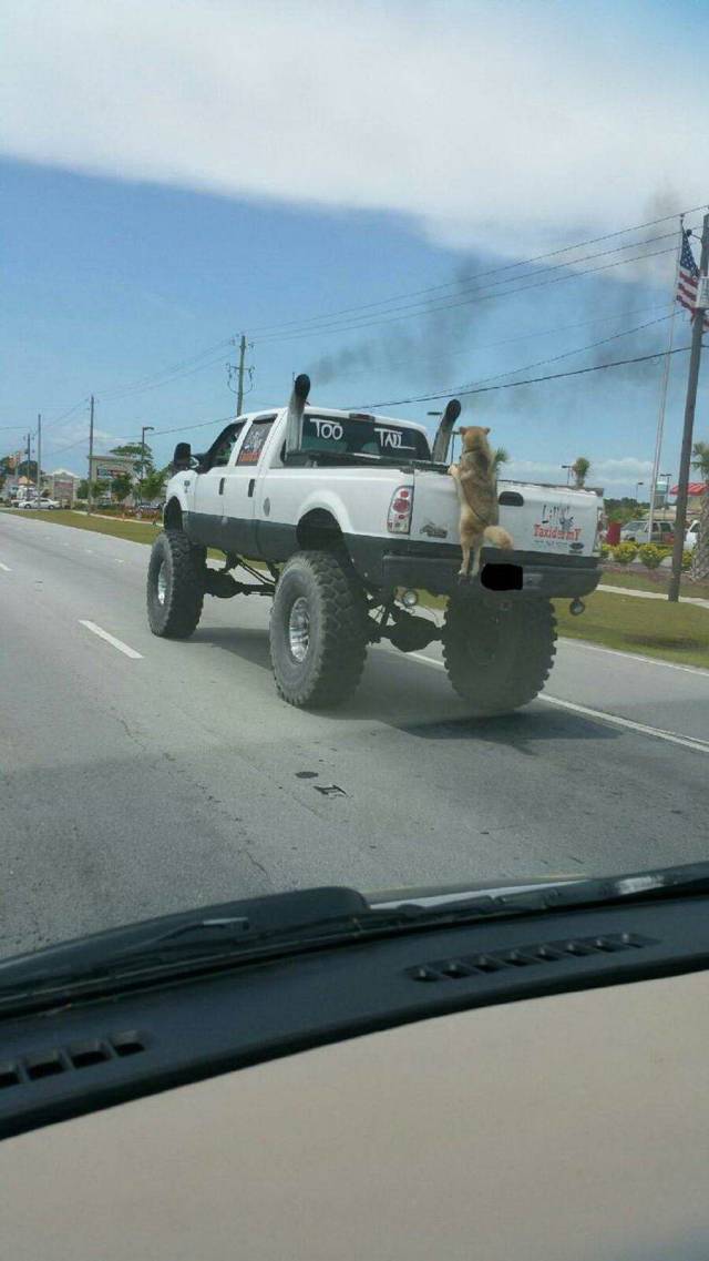 Daily Picdump
