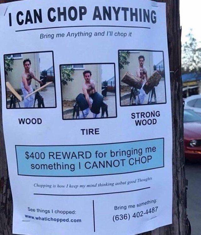 Daily Picdump