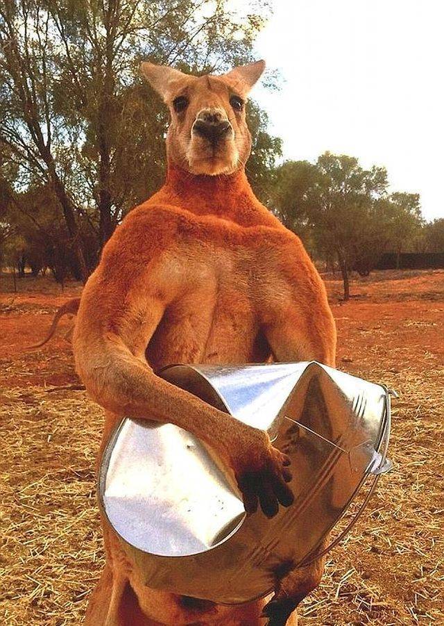 Daily Picdump