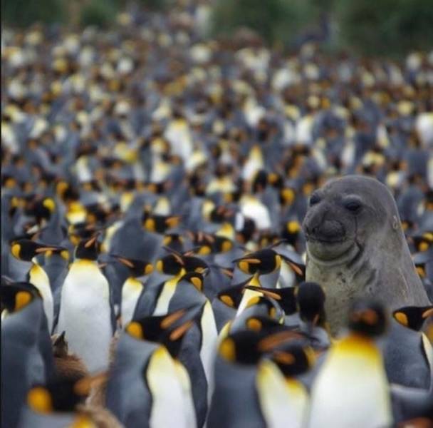 Daily Picdump [WEEKEND EDITION]