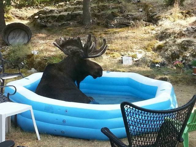Daily Picdump [WEEKEND EDITION]