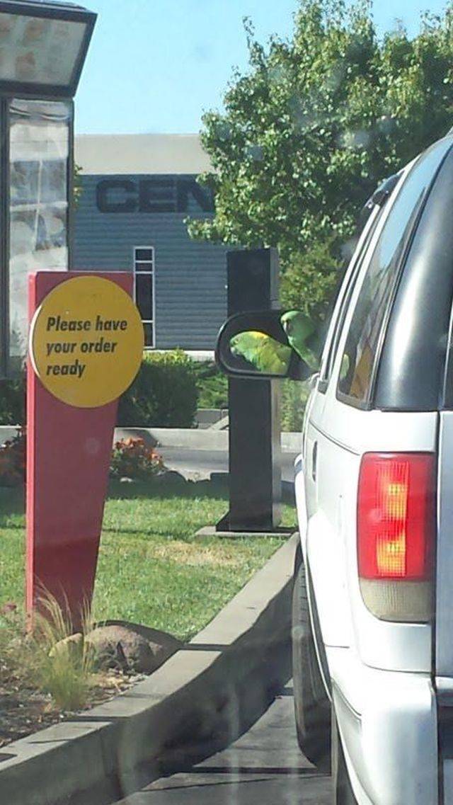 Hard-to-explain WTF Photos