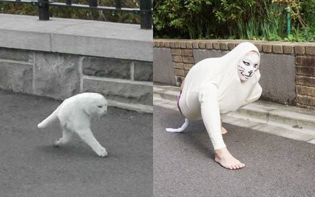 Daily Picdump