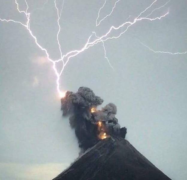 Daily Picdump