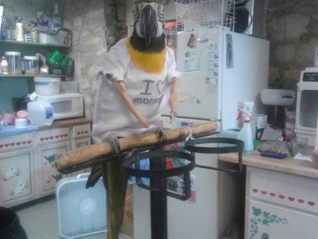 Morning Picdump
