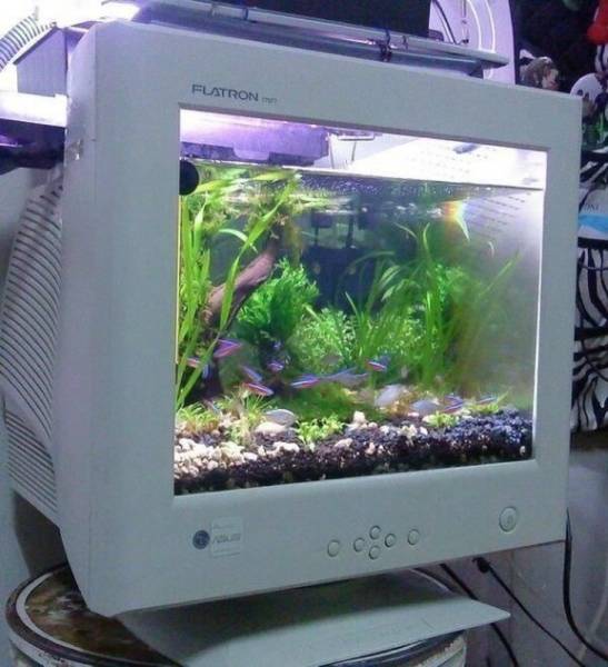 Creativity Is Always The Way To Success