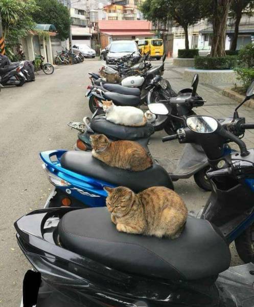 Morning Picdump