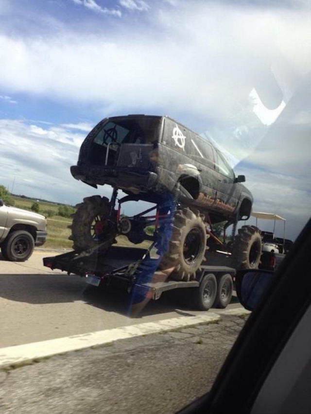 Daily Picdump
