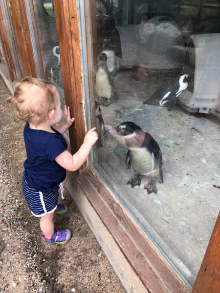 Daily Picdump [WEEKEND EDITION]