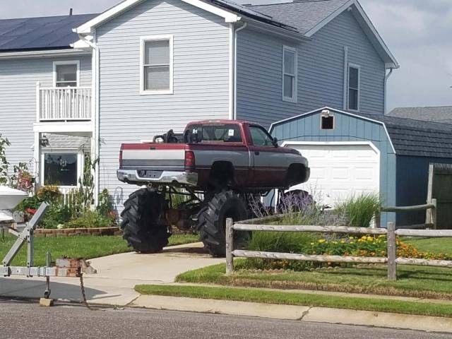 Daily Picdump