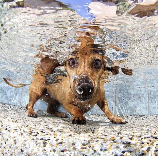 Daily Picdump