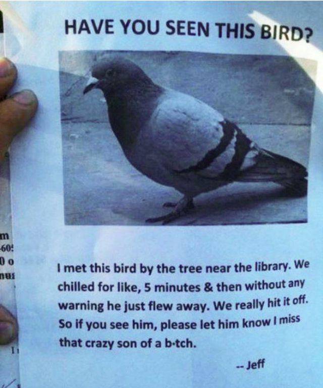 Daily Picdump