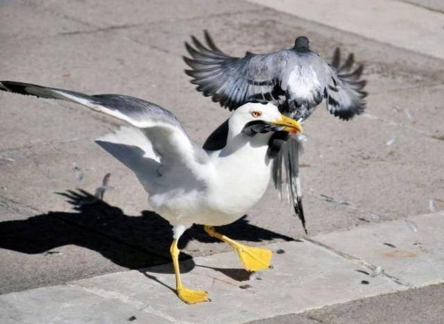 Morning Picdump