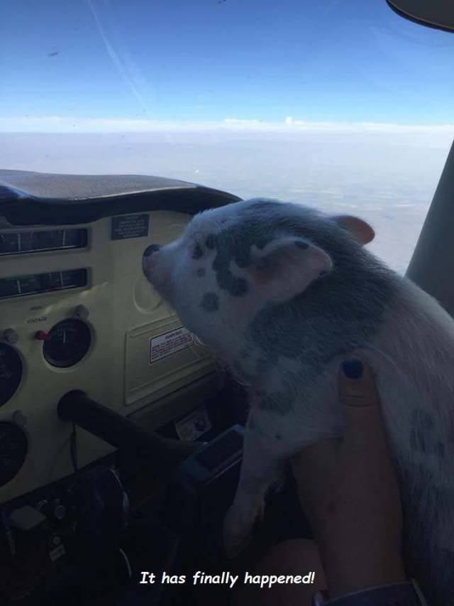 Daily Picdump [WEEKEND EDITION]