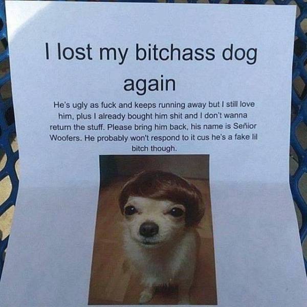 Morning Picdump