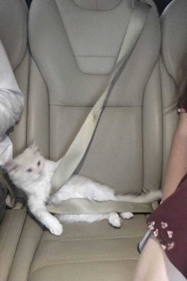 Morning Picdump