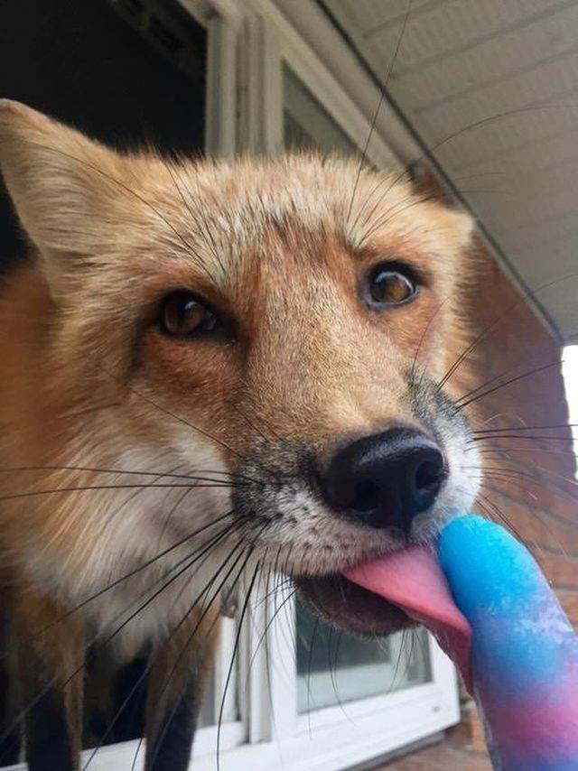 Daily Picdump