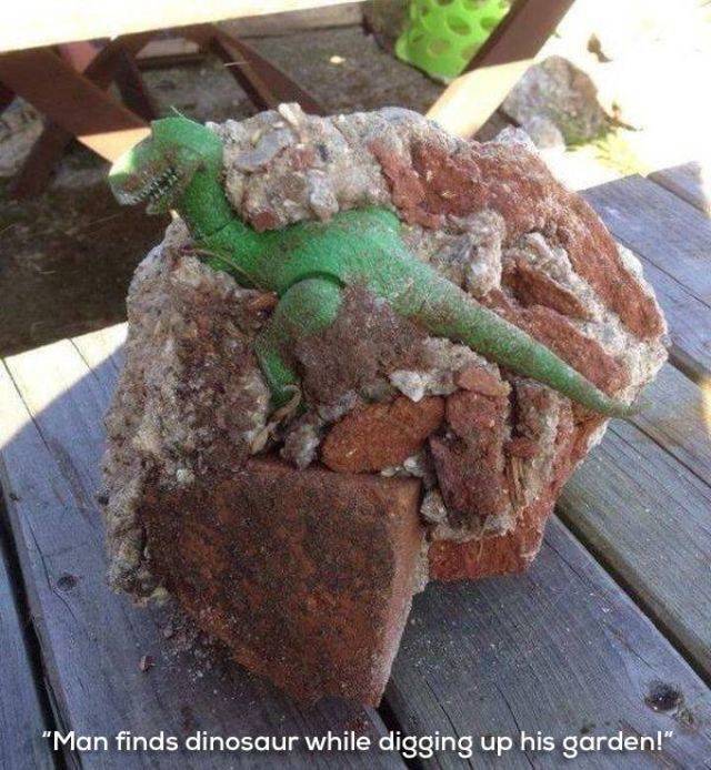Daily Picdump