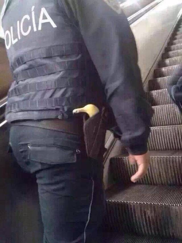 Hard-to-explain WTF Photos