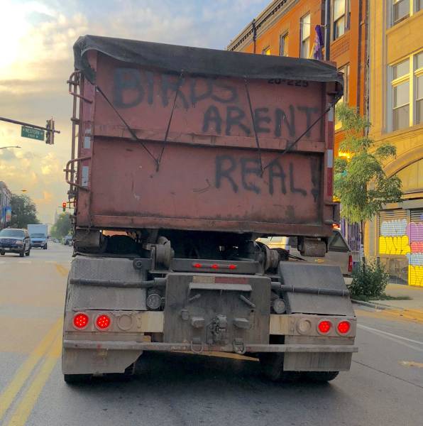 Morning Picdump