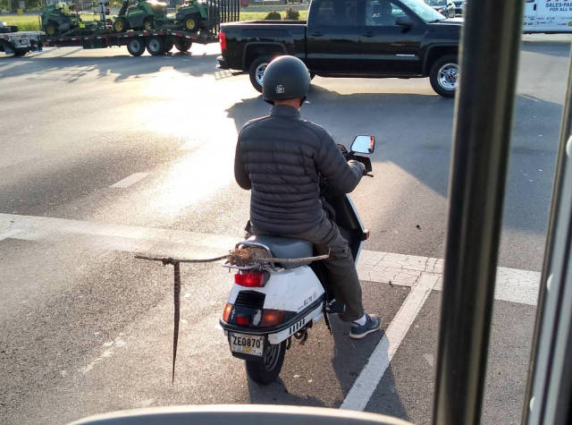 Morning Picdump