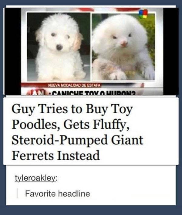 Morning Picdump