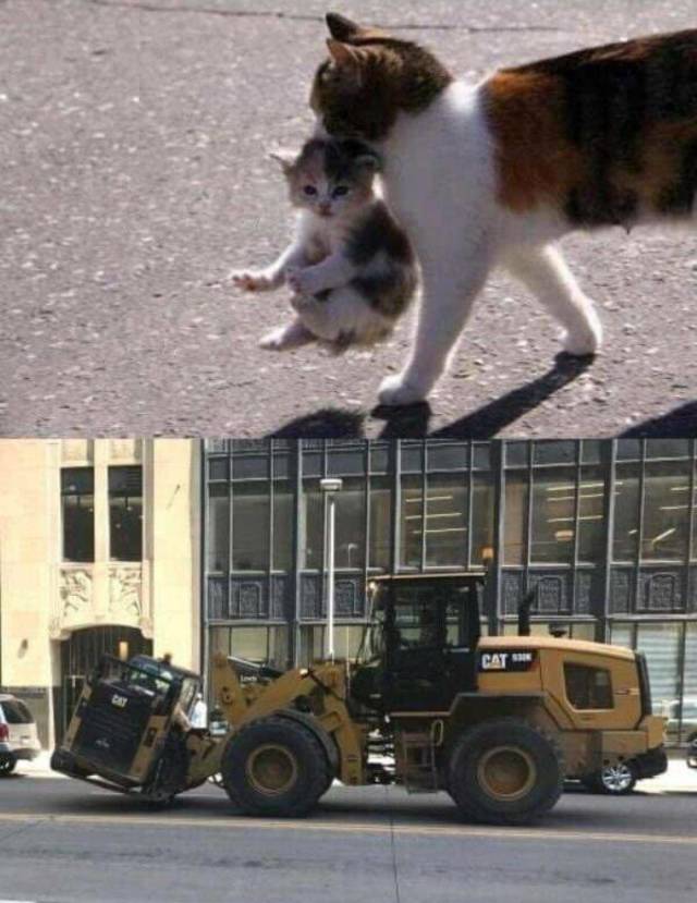 Morning Picdump