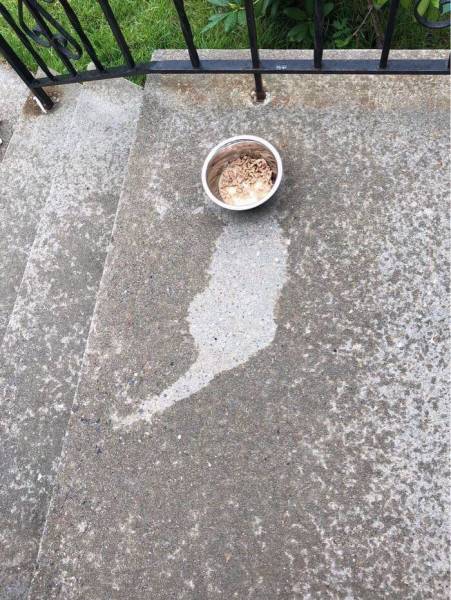Morning Picdump