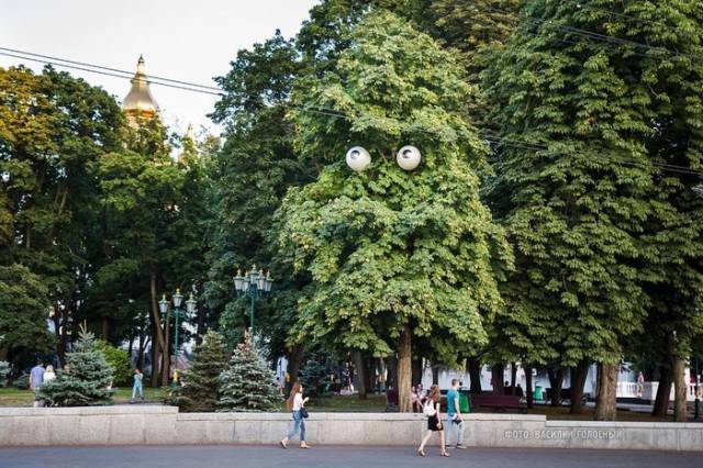 Morning Picdump