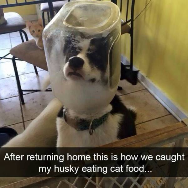 Morning Picdump