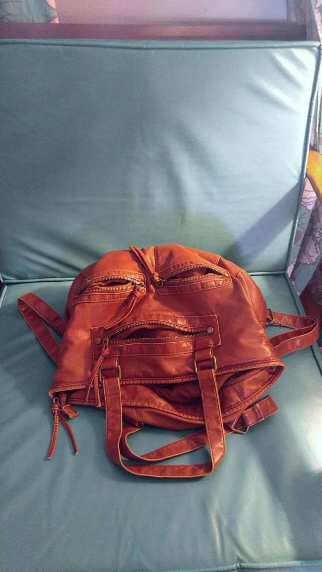 Daily Picdump