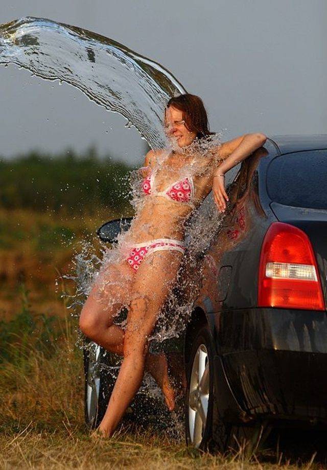 Daily Picdump