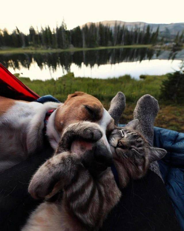 Daily Picdump