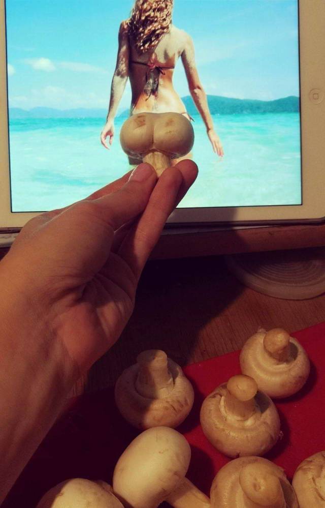 Daily Picdump