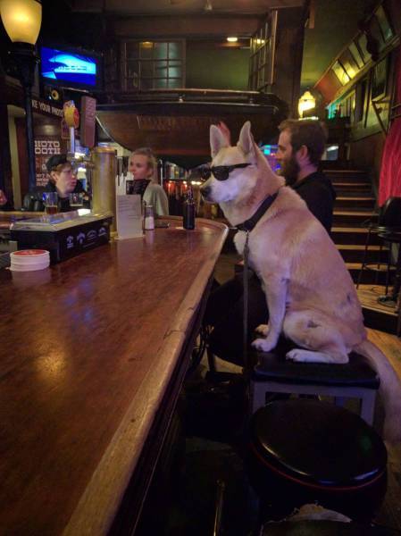 Morning Picdump