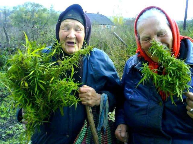 Daily Picdump