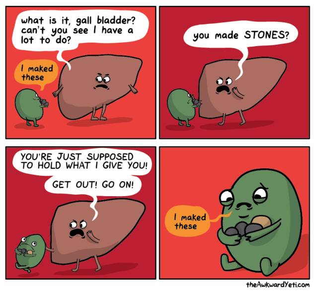 Funny Picdump