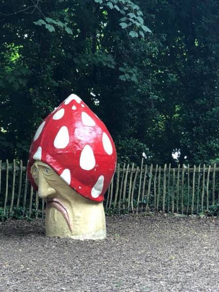 Morning Picdump