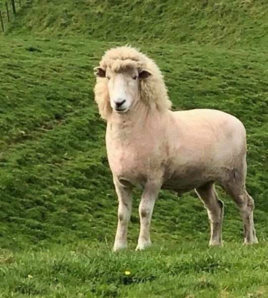 Morning Picdump