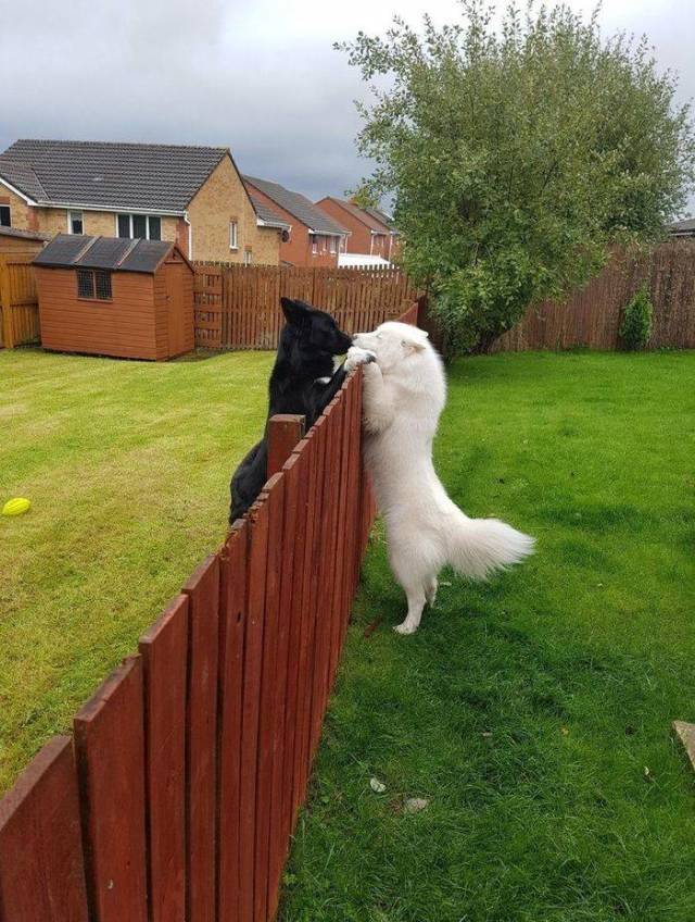 Daily Picdump [WEEKEND EDITION]