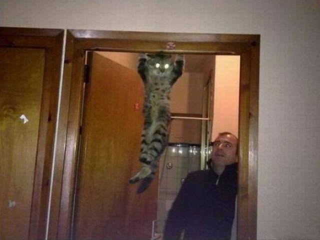Daily Picdump