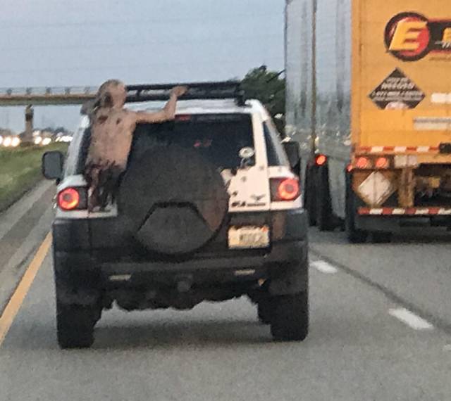 Daily Picdump