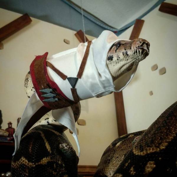 Games Are Here To Take You With ‘Em