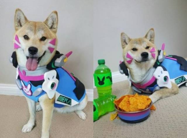 Games Are Here To Take You With ‘Em