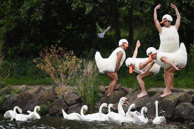 Hard-to-explain WTF Photos