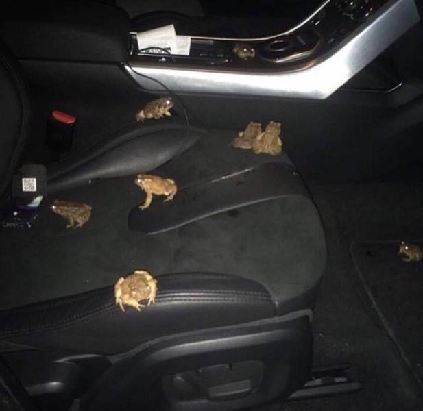 Hard-to-explain WTF Photos