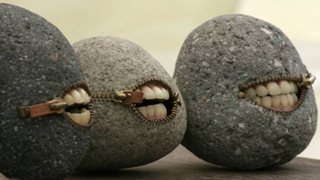 Hard-to-explain WTF Photos