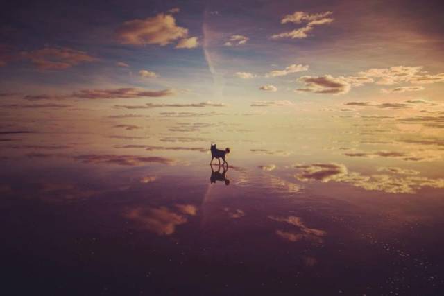 Daily Picdump